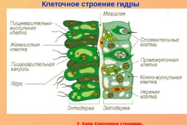 Кракен 22