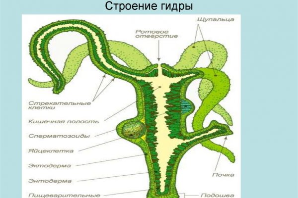 Darknet ссылка кракен kraken014 com