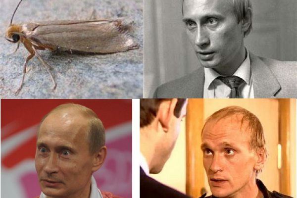Кракен площадка ссылка