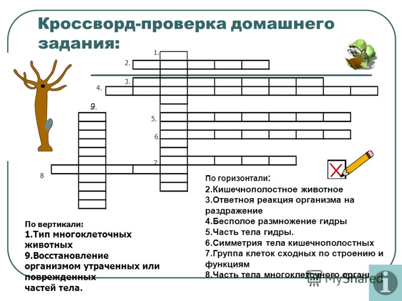 Кракен 17 вход